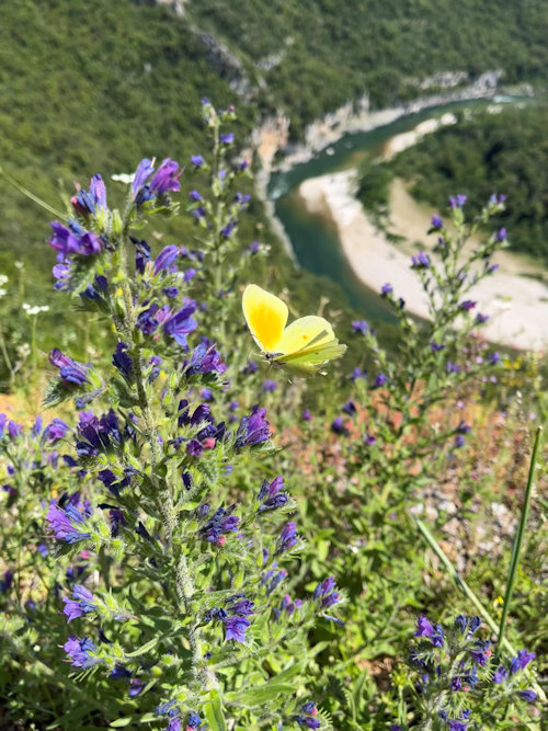 foto toerisme gorges de l'ardeche